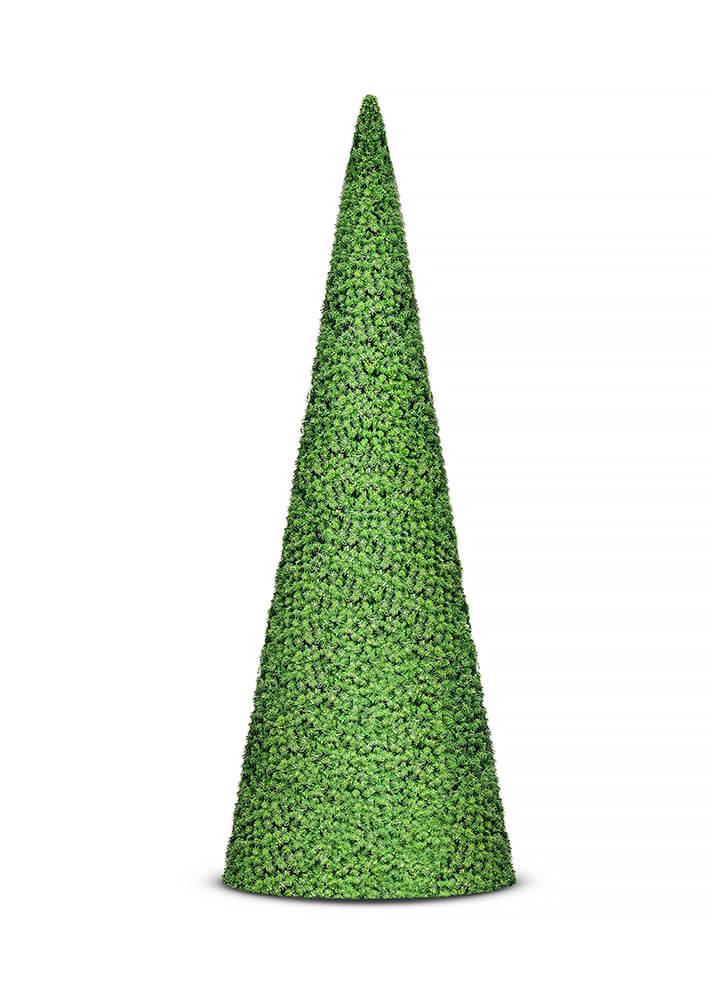 Cone